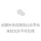 IPX-891接吻~自慰~淫荡耳语的荡妇痴女仲村みう相关图片
